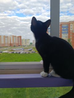 Альбом