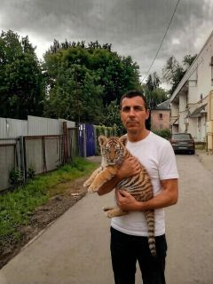 Альбом