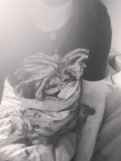 photo