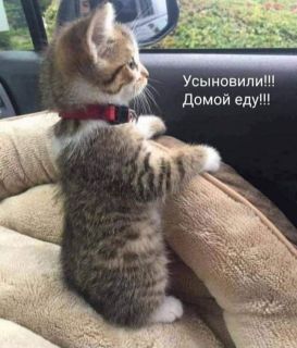 Альбом