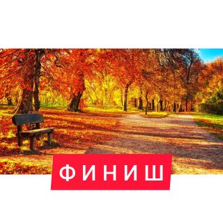 Альбом