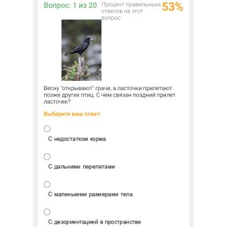 Альбом
