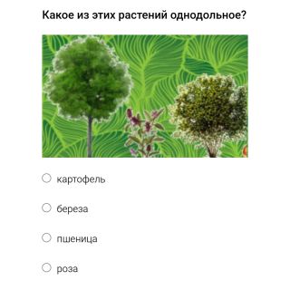 Альбом