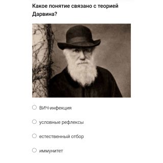Альбом