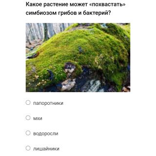 Альбом