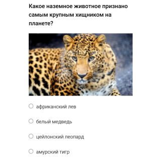 Альбом