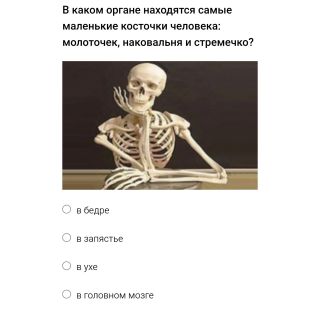 Альбом