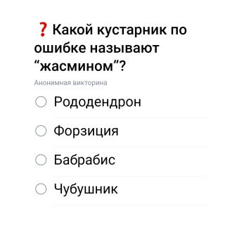 Альбом