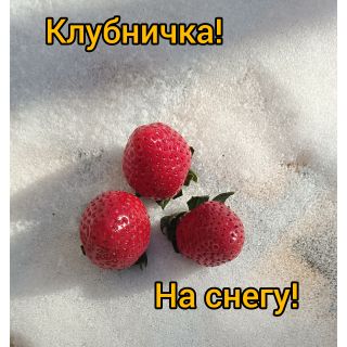 Альбом