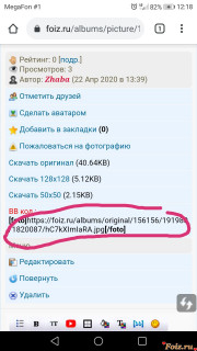 photo