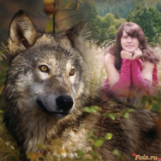 photo