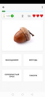 Альбом