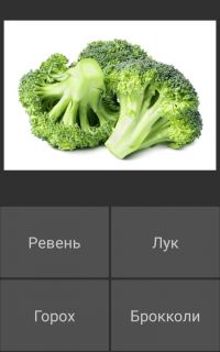 Альбом