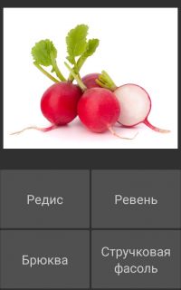 Альбом