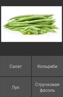 Альбом