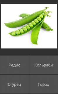 Альбом