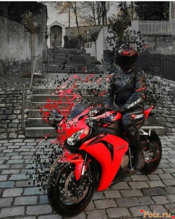 photo