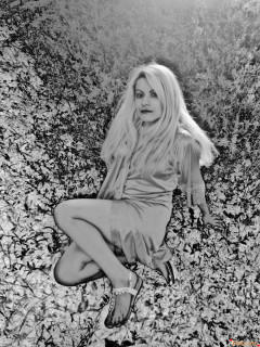 photo