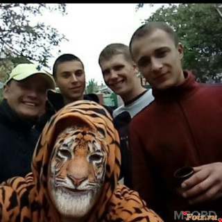 photo