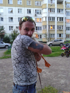 photo