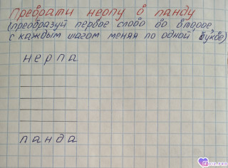 photo