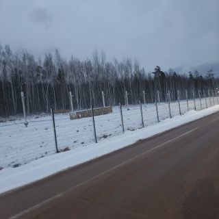 Альбом