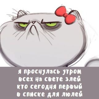 Альбом