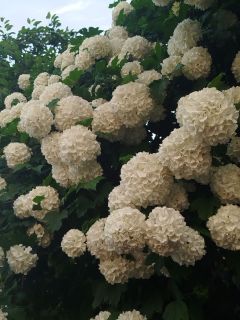 Альбом