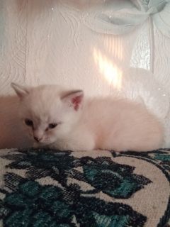 Альбом