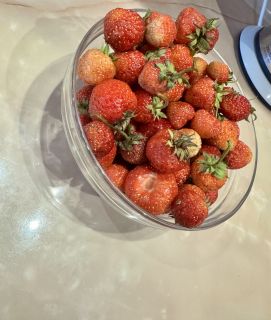 Альбом