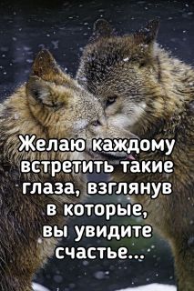 Альбом