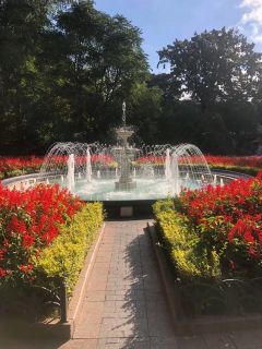 Альбом
