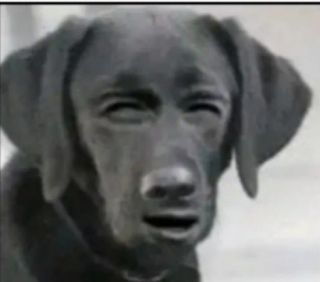 Альбом