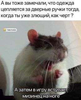 Альбом