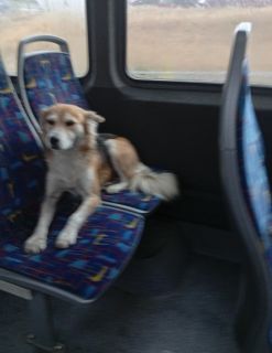 Альбом