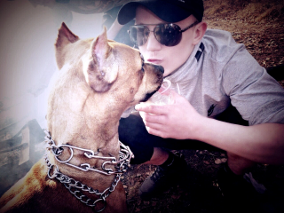 photo