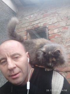 Альбом