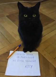 Альбом