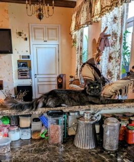Альбом