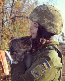 Альбом