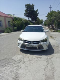Альбом