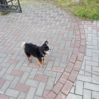 photo