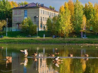 Альбом