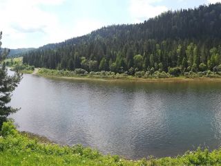 Альбом