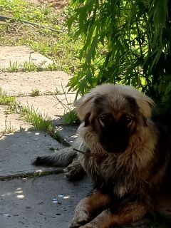 Альбом