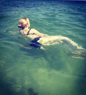 photo
