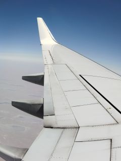 Альбом