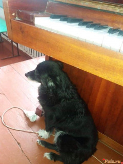 photo