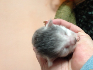 photo