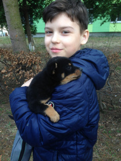 photo